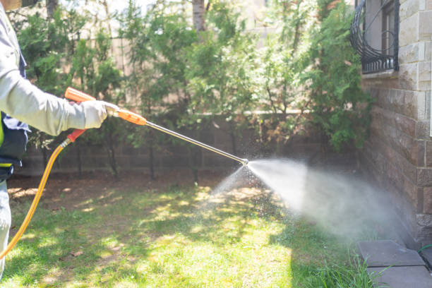 Best Bee and Wasp Removal  in Oblong, IL